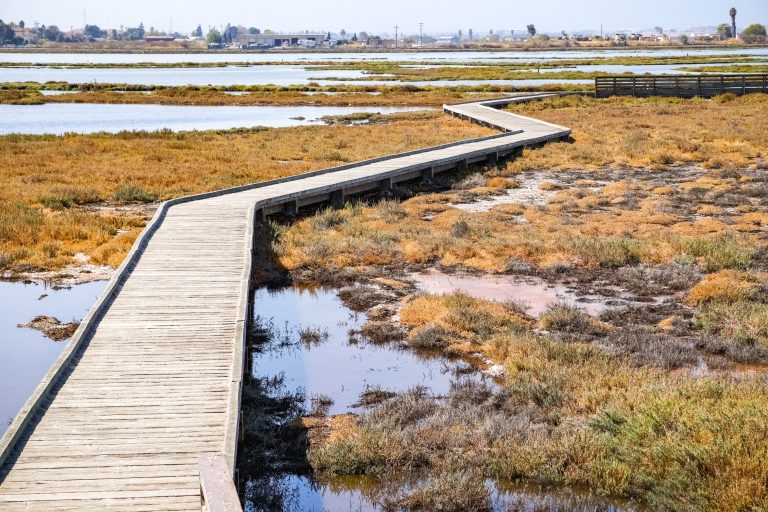 Migliori Oasi Naturalistiche