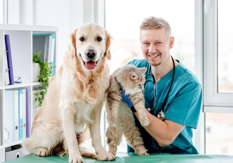 Migliori Cliniche Veterinarie