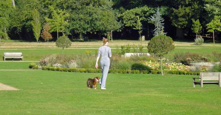 Migliori Dog Sitter e Pet Sitting