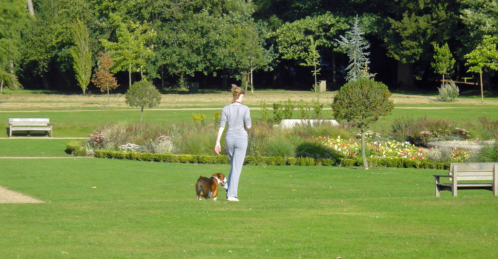 Migliori Dog Sitter e Pet Sitting